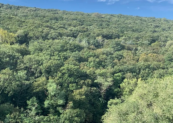 Al Bosco IncantatoBed and Breakfast